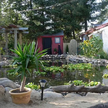 L'Oasis Du Pirate-3